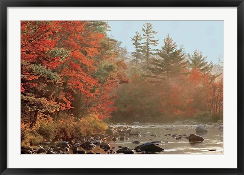 Framed Foggy River Print