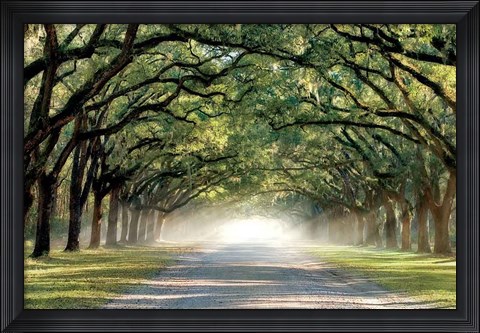 Framed Hope And Glory Print