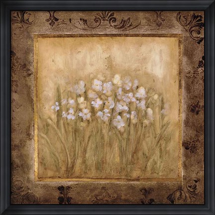 Framed Narcissus Print