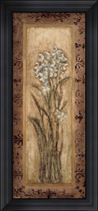 Framed Paperwhites II Print