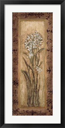 Framed Paperwhites II Print