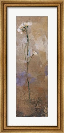 Framed Flowers Of June Series II Print