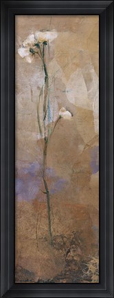 Framed Flowers Of June Series II Print
