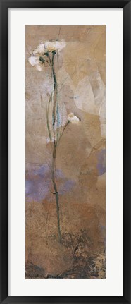 Framed Flowers Of June Series II Print