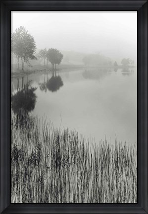 Framed Lakeside Mist Print