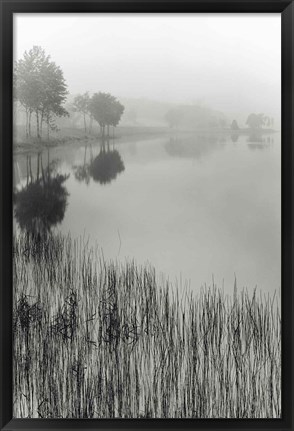 Framed Lakeside Mist Print