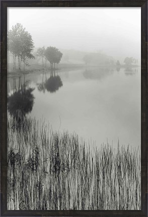 Framed Lakeside Mist Print