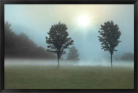 Framed Two Tress &amp; Sunburst Print