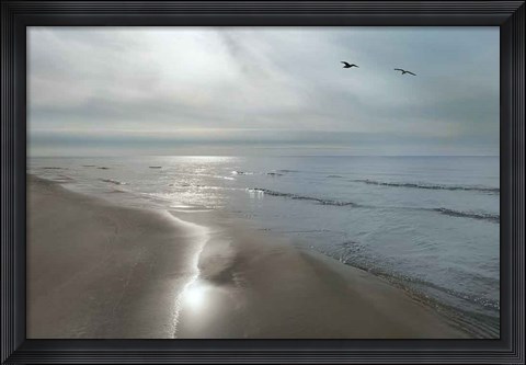 Framed Beach Flight Print