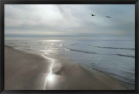 Framed Beach Flight Print