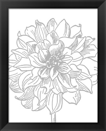 Framed Florette III Print
