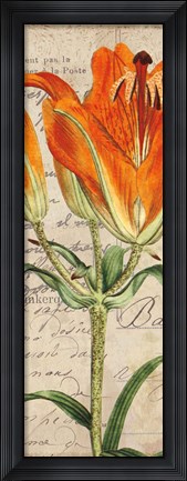 Framed Jardin Botanique II Print