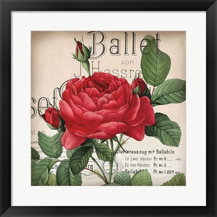 Framed Scent of a Rose I Print