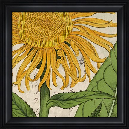 Framed Joyful Bloom I Print