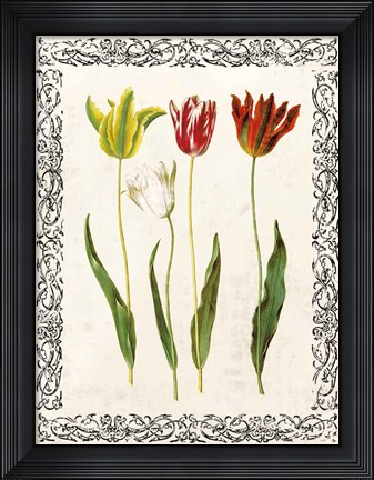 Framed Spring Blooms I Print