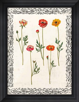 Framed Spring Blooms II Print