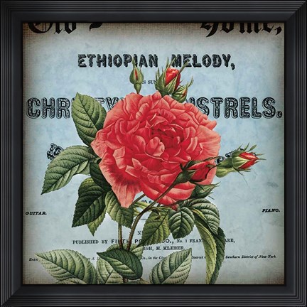 Framed Petite Rose II Print