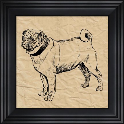 Framed Pug Print