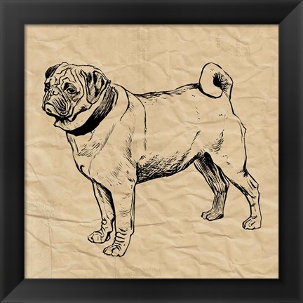 Framed Pug Print