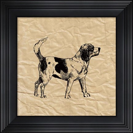 Framed Beagle Print