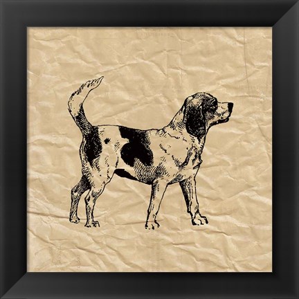 Framed Beagle Print