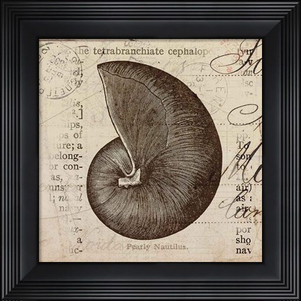Framed Ocean Collection II Print