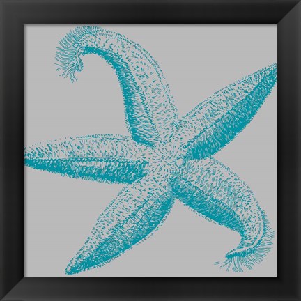 Framed Sea Stars I Print