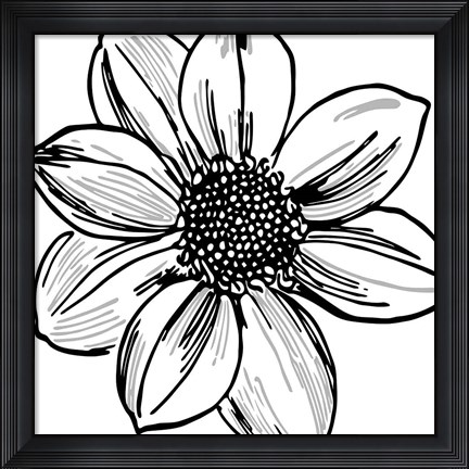 Framed Floral Outlines I Print