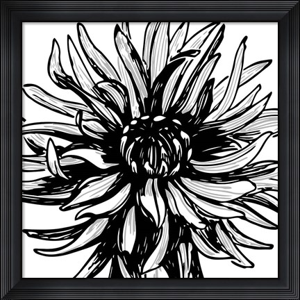 Framed Floral Outlines II Print