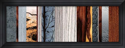 Framed Evolutions I Print