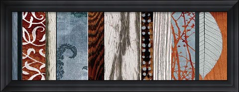 Framed Evolutions II Print