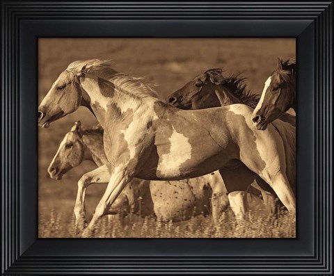 Framed Like the Wind I Print