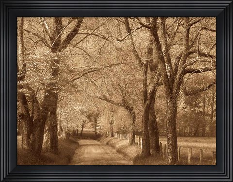 Framed Smokies Road Print