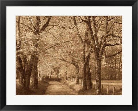 Framed Smokies Road Print