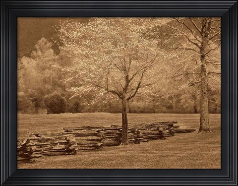 Framed Smokies Fence Print