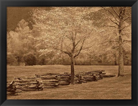 Framed Smokies Fence Print