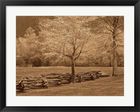 Framed Smokies Fence Print