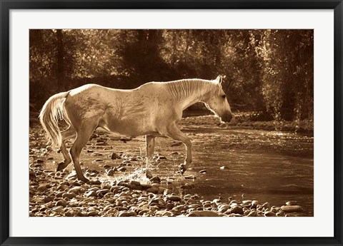 Framed Crossing Print