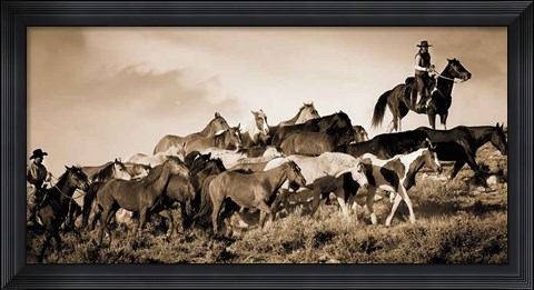 Framed Gathering the Herd Print