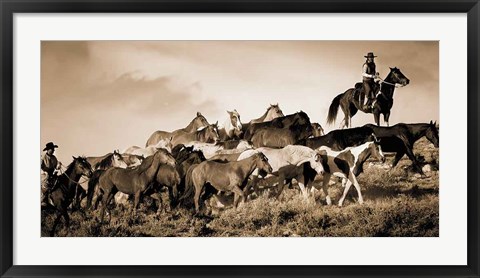 Framed Gathering the Herd Print