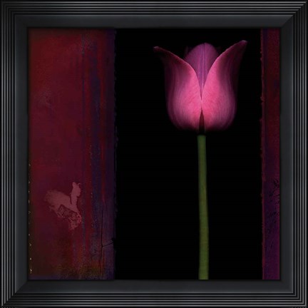Framed Red Tulip I Print