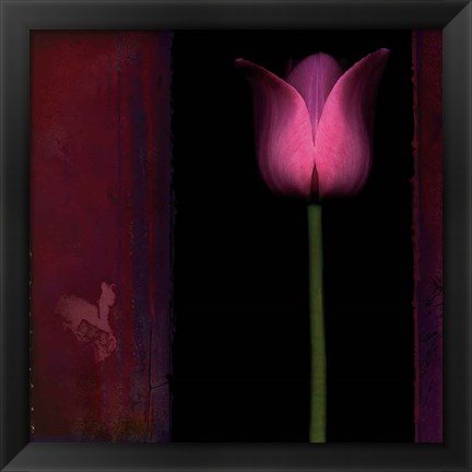 Framed Red Tulip I Print