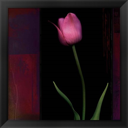 Framed Red Tulip II Print