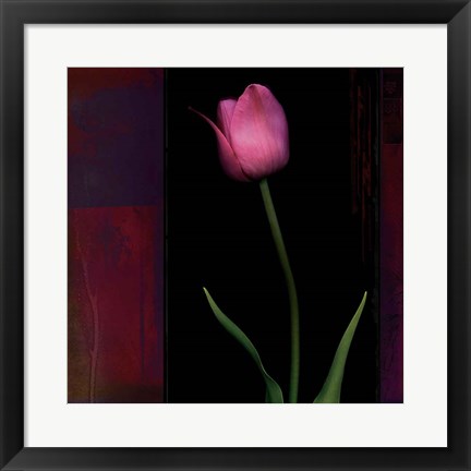 Framed Red Tulip II Print