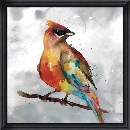 Framed Cardinal Print