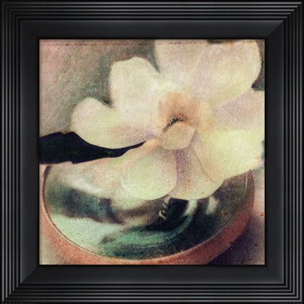 Framed Nature&#39;s Blossoms III Print