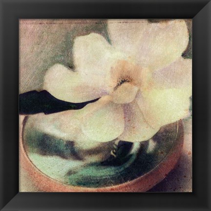 Framed Nature&#39;s Blossoms III Print