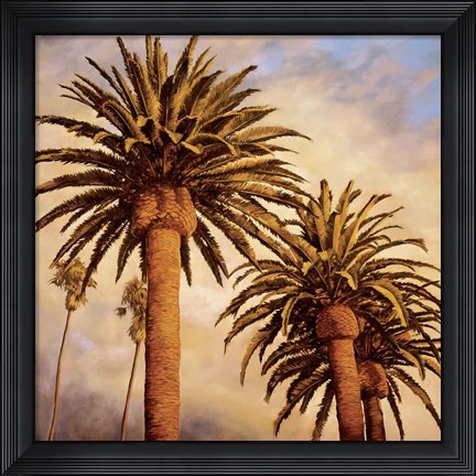 Framed Fog Over Canary Palms Print