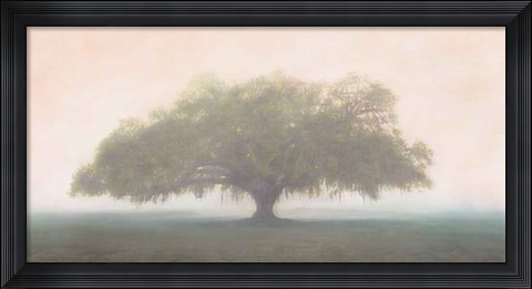 Framed Oak in the Fog Print