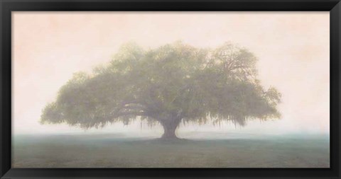 Framed Oak in the Fog Print